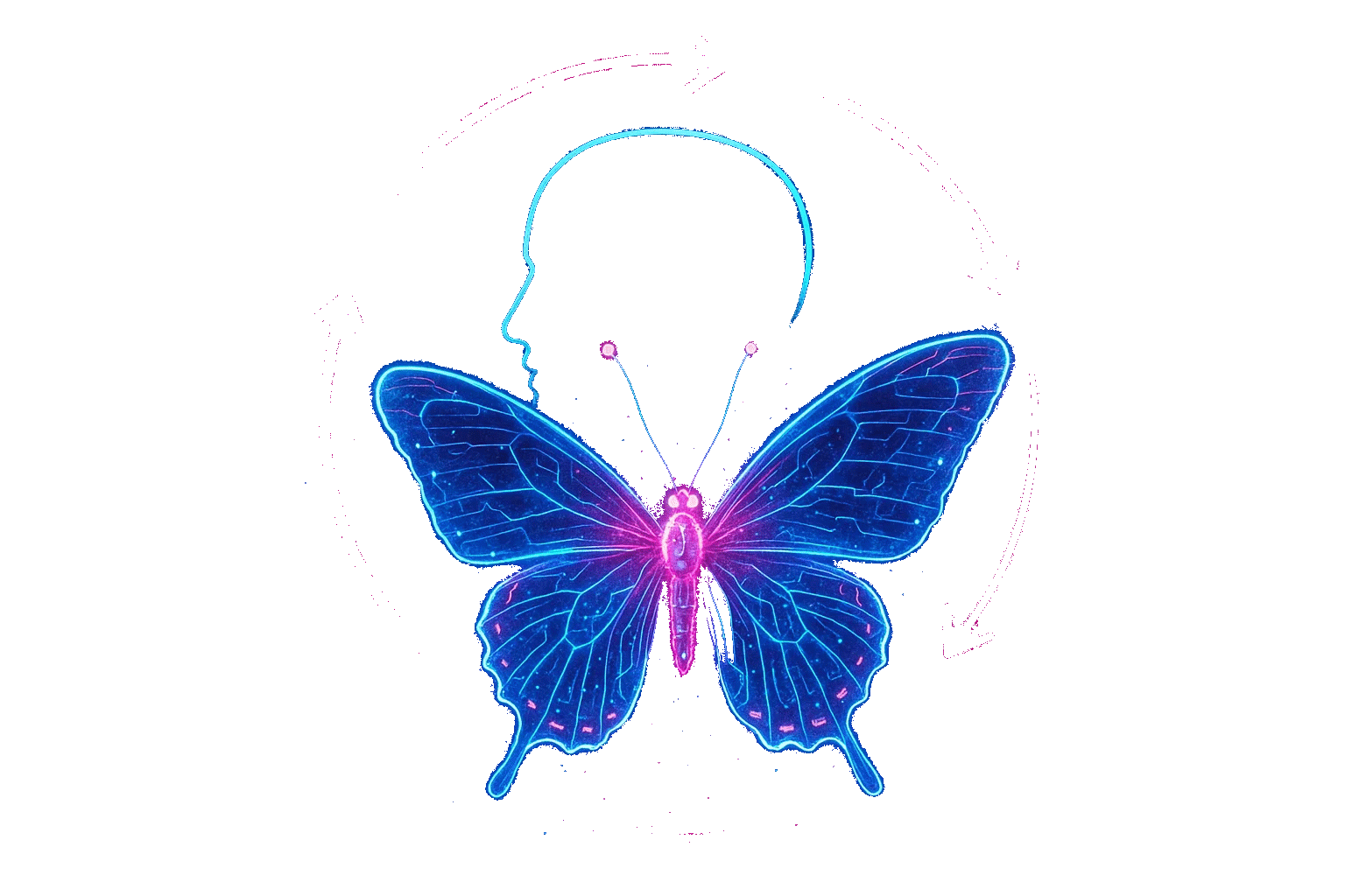 Видение проекта